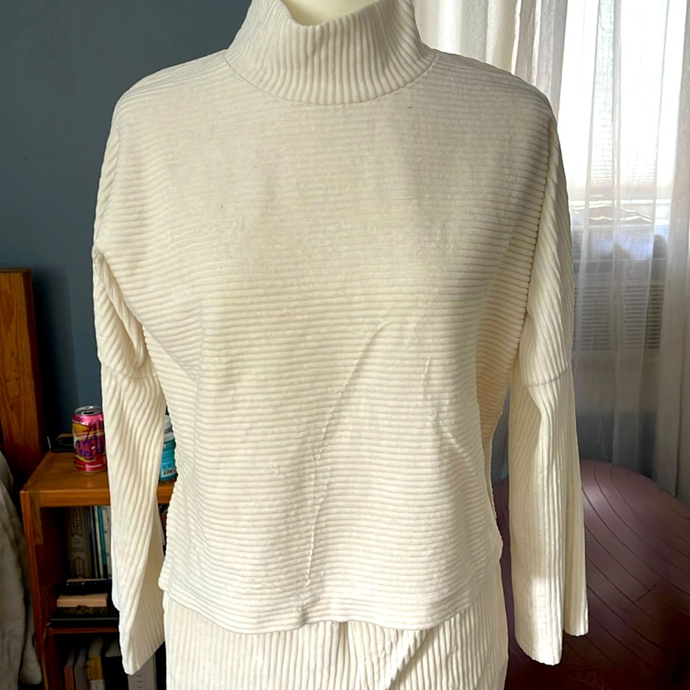 Texture & Thread Velour Corduroy Mockneck Top and pants either drawstring